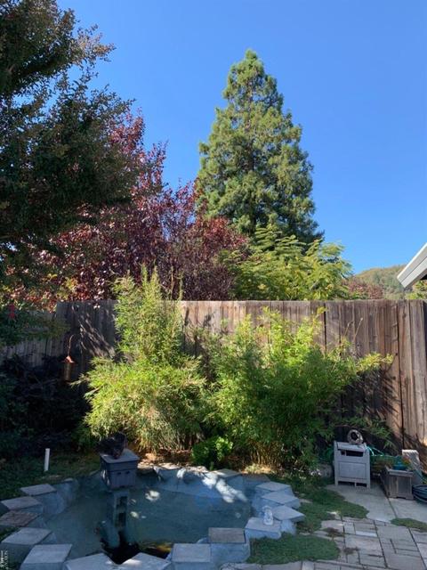 681 Malaga Dr, Ukiah, CA 95482 photo 26