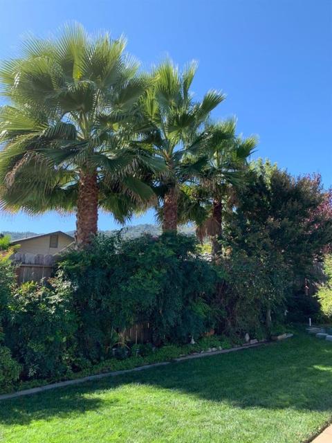 681 Malaga Dr, Ukiah, CA 95482 photo 22