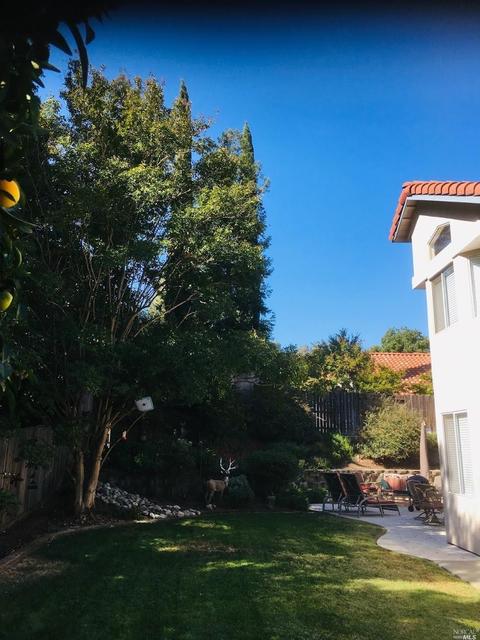 Undisclosed, Vacaville, CA 95688 photo 40