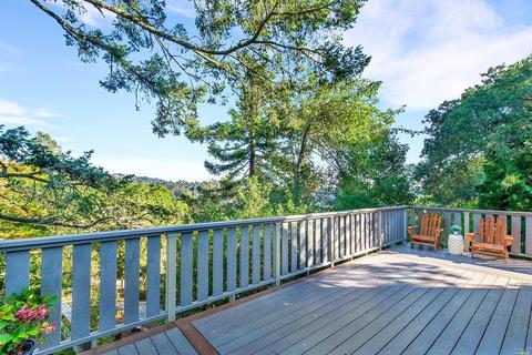 838 Spring Dr, Mill Valley, CA 94941 photo 25