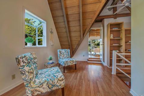 838 Spring Dr, Mill Valley, CA 94941 photo 15