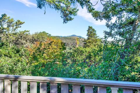 838 Spring Dr, Mill Valley, CA 94941 photo 24