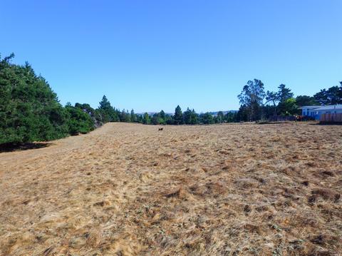 1452 Schaeffer Rd, Sebastopol, CA 95472 photo 4