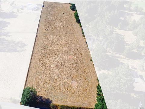 1452 Schaeffer Rd, Sebastopol, CA 95472 photo 3