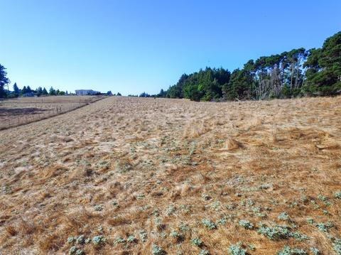 1452 Schaeffer Rd, Sebastopol, CA 95472 photo 5