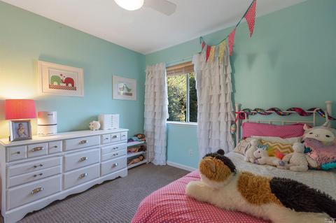 822 Towne St, Sonoma, CA 95476 photo 37