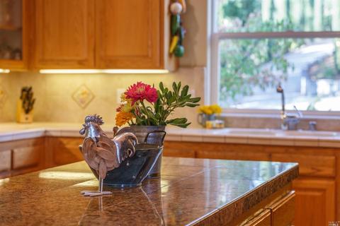 222 Lorraine Ct, Healdsburg, CA 95448 photo 12