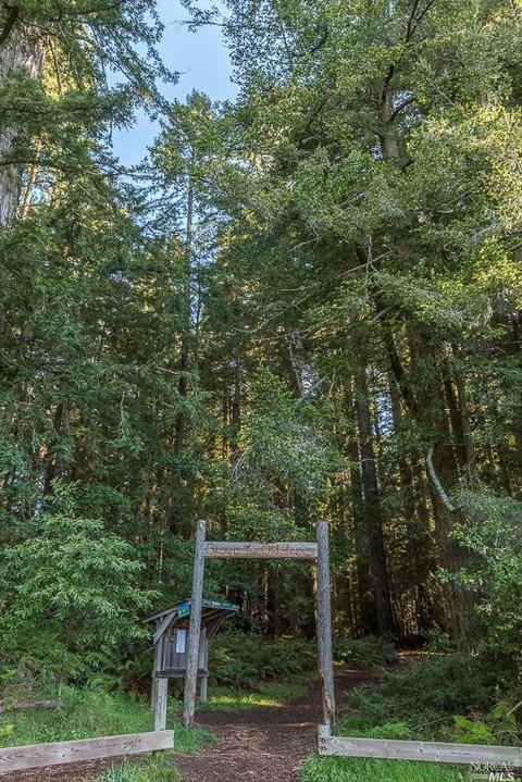 18750 Fitzpatrick Ln, Occidental, CA 95465 photo 38