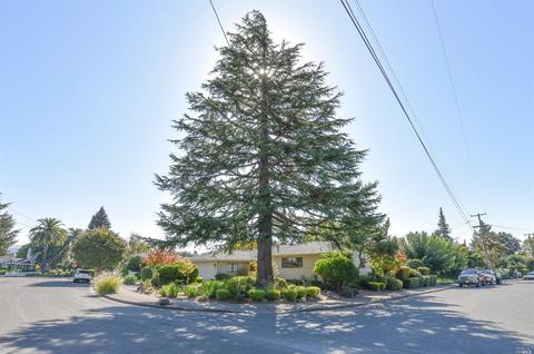 473 Chase St, Sonoma, CA 95476 photo 35