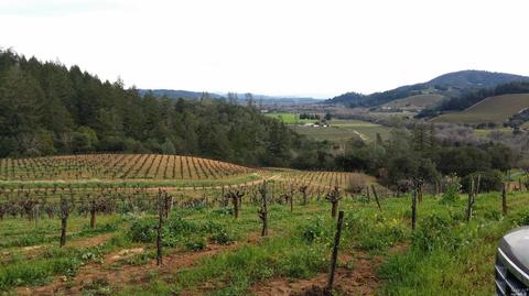9722 Dry Creek Rd, Healdsburg, CA 95448
