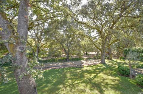 1009 3rd Ave, Napa, CA 94558 photo 9