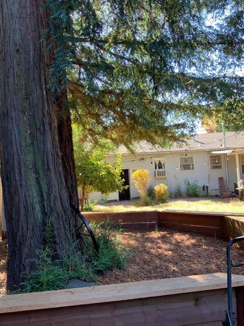 486 E Macarthur St, Sonoma, CA 95476 photo 14