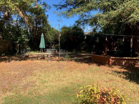 486 E Macarthur St, Sonoma, CA 95476 photo 3