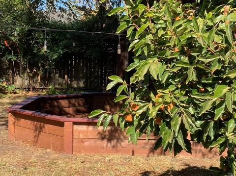 486 E Macarthur St, Sonoma, CA 95476 photo 10