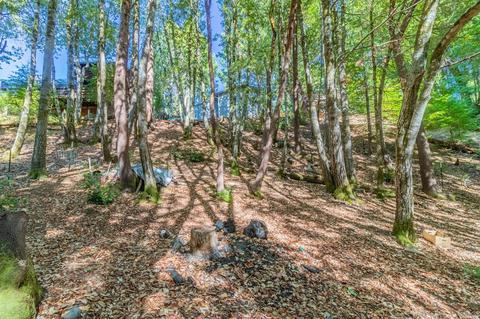 25878 Bear Ln, Willits, CA 95490 photo 28