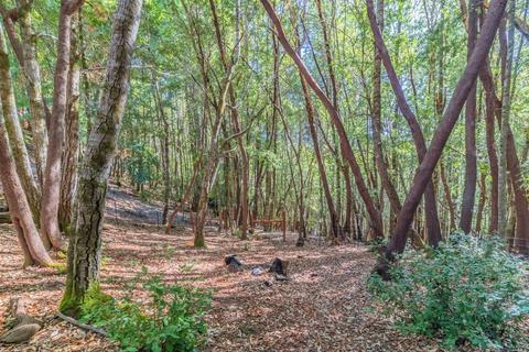 25878 Bear Ln, Willits, CA 95490 photo 29