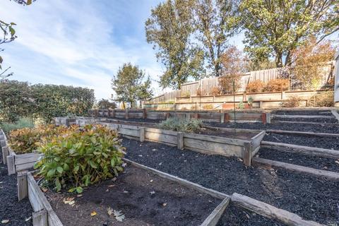 8568 Cypress Ave, Cotati, CA 94931 photo 33