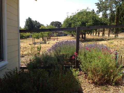 5286 Mcfarlane Rd, Sebastopol, CA 95472 photo 42