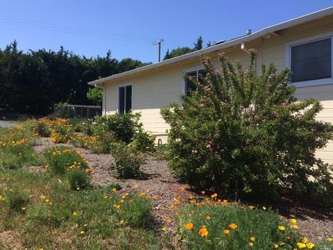 5286 Mcfarlane Rd, Sebastopol, CA 95472 photo 40