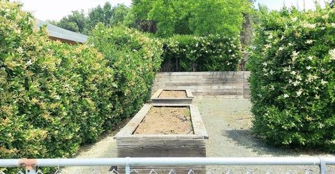 320 Arbor Ave, Sonoma, CA 95476 photo 21