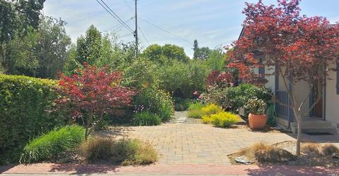 320 Arbor Ave, Sonoma, CA 95476 photo 20