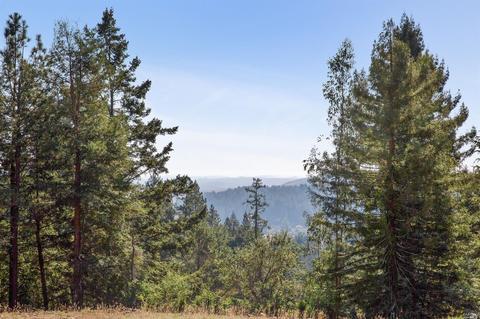 1570 Jonive Rd, Sebastopol, CA 95472 photo 50
