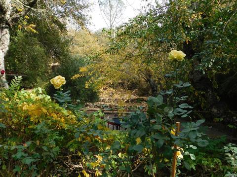 420 College Ave, Angwin, CA 94508 photo 25