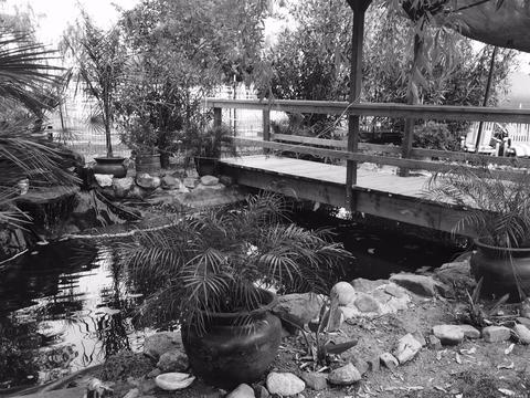 6941 Fox Rd, Dixon, CA 95620 photo 8