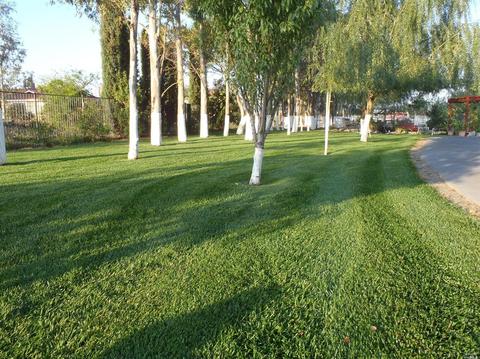 6941 Fox Rd, Dixon, CA 95620 photo 5
