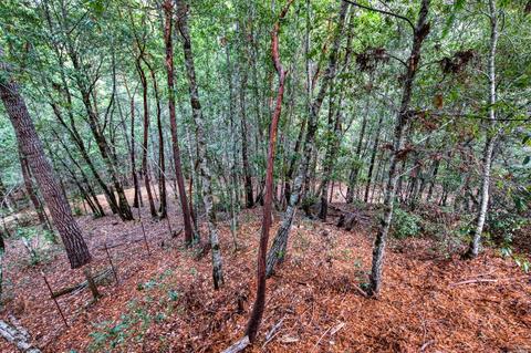 2247 Primrose Dr, Willits, CA 95490 photo 20