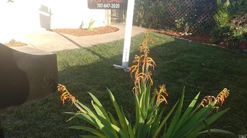 28 Wilson Ave, Vallejo, CA 94590 photo 11