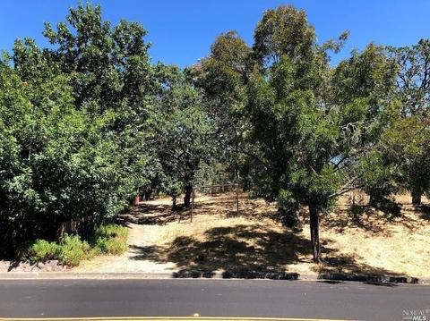 137 Vinecrest Cir, Windsor, CA 95492 photo 30