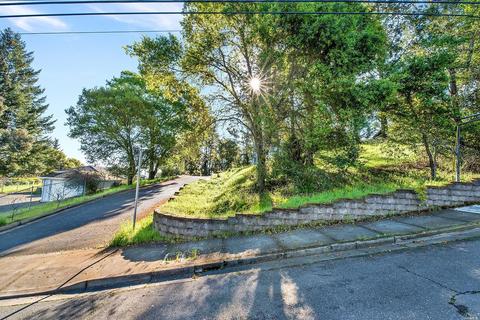 911 Litchfield Ave, Sebastopol, CA 95472 photo 12