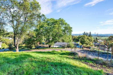 911 Litchfield Ave, Sebastopol, CA 95472 photo 5