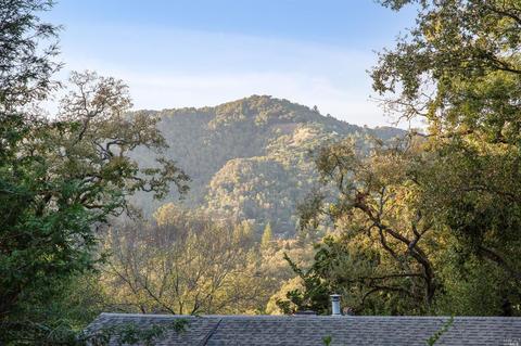 65 Spring Ln, Fairfax, CA 94930 photo 47