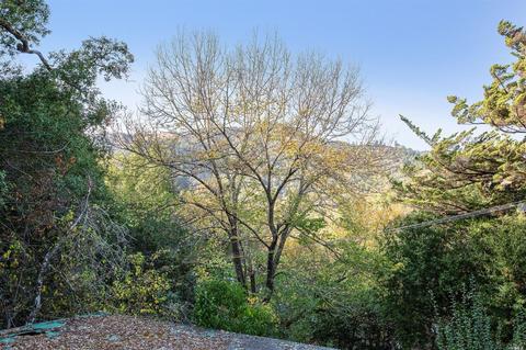 65 Spring Ln, Fairfax, CA 94930 photo 17