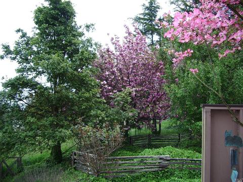 5870 Mcfarlane Rd, Sebastopol, CA 95472 photo 26