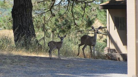 5870 Mcfarlane Rd, Sebastopol, CA 95472 photo 48