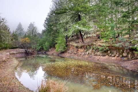 3440 Ridgewood Rd, Willits, CA 95490 photo 26