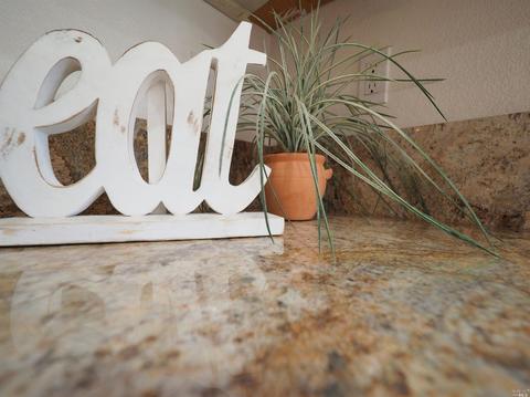 872 Starr Cir, Windsor, CA 95492 photo 18