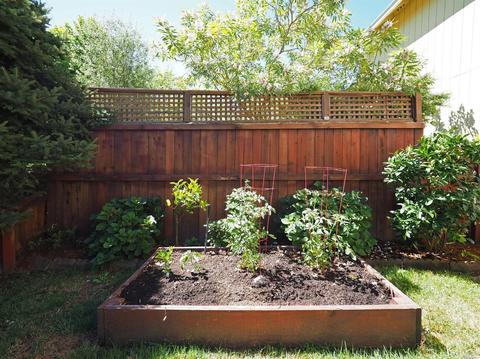 872 Starr Cir, Windsor, CA 95492 photo 41