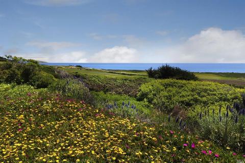 21469 Heron Dr, Bodega Bay, CA 94923 photo 3