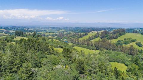 3949 Burnside Rd, Sebastopol, CA 95472 photo 32