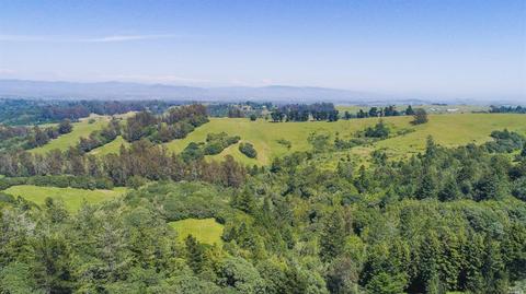 3949 Burnside Rd, Sebastopol, CA 95472 photo 38