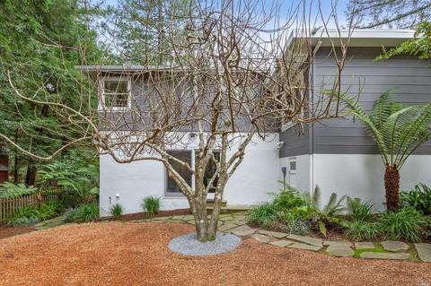 431 Throckmorton Ave, Mill Valley, CA 94941 photo 35