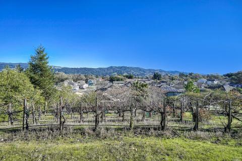 103 St Michael Ct, Cloverdale, CA 95425 photo 38