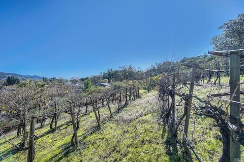 103 St Michael Ct, Cloverdale, CA 95425 photo 40