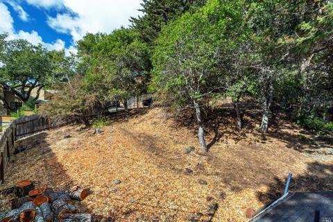 123 Cornelia Ave, Mill Valley, CA 94941 photo 12