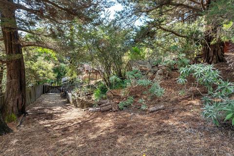 123 Cornelia Ave, Mill Valley, CA 94941 photo 3