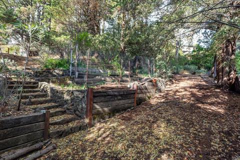 123 Cornelia Ave, Mill Valley, CA 94941 photo 7